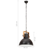 Industrial Hanging Lamp 25 W Black Round 40 cm E27 320535