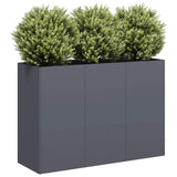 Planter Anthracite 120x40x80 cm Cold-rolled Steel 860719