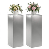 Plant Stand 2 pcs Silver 30 x 30 x 80 cm Stainless Steel 8012499
