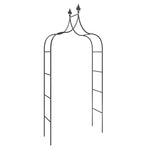 ZNTS Garden Arches 2 pcs Black 120x38x260 cm Steel 319349