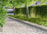Lawn Edging 10 pcs 100 x 30 cm Steel Silver 8008638