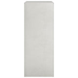 Firewood Rack 60x40x100 cm Stainless Steel 850993