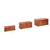247243 Storage Chests 3 pcs Solid Acacia Wood