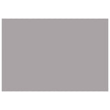 Awning Replacement Fabric Light Grey 300 x 250 cm Polyester 3444391