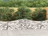 Arched Gabion Baskets 20 pcs 200x50x60/80 cm Galvanised Iron 3145613
