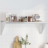 ZNTS Wall Shelf 100x30x31 cm Silver Stainless Steel 30273