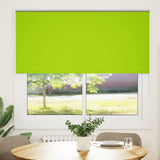 ZNTS Roller Blind Blackout Leaves Green 160x175 cm Fabric Width 156.6 cm Polyester 4011296