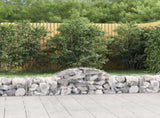 Arched Gabion Baskets 2 pcs 200x50x40/60 cm Galvanised Iron 3146257