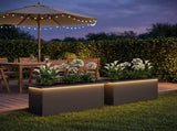 Garden Planter with LED 2 pcs Black 30 x 80 x 30 cm Steel 8008099
