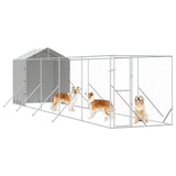 Outdoor Dog Kennel with Roof Silver 2x10x2.5 m Galvanised Steel 3190476