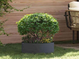 Planter Ring 5 pcs Anthracite 40 x 40 x 20 cm Cold-rolled Steel 873611