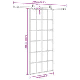 Sliding Door with Hardware Set Black 90x205 cm ESG Glass 3375854