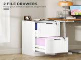 2 Drawer Filing Cabinet with Lock, Office Storage Cabinet with Adjustable Hanging Bars for A4 Letter T3398P425002