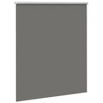 ZNTS Roller Blind Blackout Grey 140x130 cm Fabric Width 136.6 cm Polyester 4011110