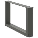 Coffee Table Legs U-Shaped 2 pcs Anthracite 60x cm Steel 4013142
