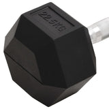 Dumbbell 22.5 kg Cast Iron 93609