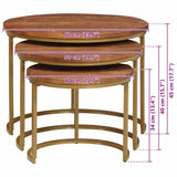 Nesting Coffee Tables 3 pcs Solid Mango Wood and Steel 4104637