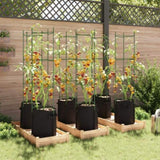 Tomato Cages with Plant Bags 6 pcs 154 cm Steel and PP 3281490