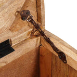 Storage Box with Storage with Door Brown Solid Mango Wood 4104567