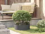 Planter Ring 5 pcs Black 40 x 40 x 20 cm Cold-rolled Steel 873607