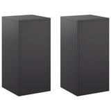 Plant Stand 2 pcs Black 30 x 30 x 60 cm Steel 8012475