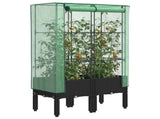 Raised Bed with Greenhouse Cover Rattan Look 80x40x140 cm 4015819