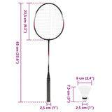 Badminton Set with 2 Rackets. Net & Storage Case 292x30x152 cm 4016329