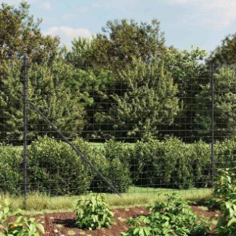 Wire Mesh Fence Anthracite 2.2x25 m Galvanised Steel 154239