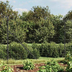 Wire Mesh Fence Anthracite 2.2x10 m Galvanised Steel 154231