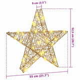 3D Star with 50 LEDs Warm white 55 x 52.5 x 9 cm PET 42019103