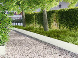 Lawn Edging 10 pcs 103 x 30 cm metal White 8008310