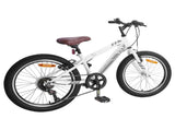 Mountain Bike 20'' 6-Speed for 5-8 Years Old White 42009746
