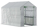 Walk-in Greenhouse 37603420