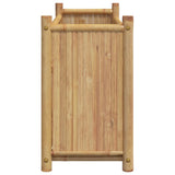 ZNTS Planter 100x30x50 cm Bamboo 366463