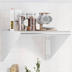 ZNTS Wall Shelf 50x45x31 cm Silver Stainless Steel 30276