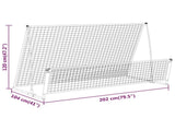2 in 1 Soccer Rebounder Football Goal 202x104x120 cm Steel 93373