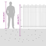 Spike Arch Fence DRONTEN Black 42030094