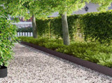 Lawn Edging 10 pcs 102 x 15 x 4 cm Steel Black 8008763
