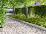 Lawn Edging 20 pcs 103 x 25 cm Steel Silver 8008706