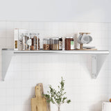 Wall Shelf 100x30x31 cm Silver Stainless Steel 30273