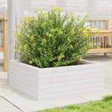 Garden Planter White 60x60x23 cm Solid Wood Pine 847189