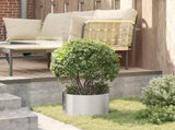 Planter Ring 5 pcs Silver 30 x 30 x 20 cm Stainless Steel 873601