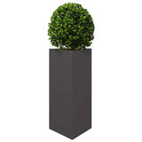 Garden Planter Black Triangular 40x34.5x75 cm Steel 851157