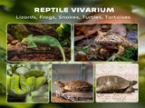 Reptile Glass Terrarium with Stone Background, Front Ventilation, Escape-Proof Knob Lock, x x T3398P375362