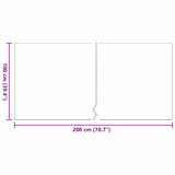 Artificial Grass 200 x 100 x 4 cm PP & PE 42006440