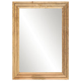 Bathroom Mirror 50x70 cm Solid Wood Rough Mango and Glass 377589