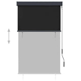 Outdoor Roller Blind 100x250 cm Anthracite 145958
