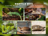 PawHut 40L Vivarium for Lizards, Frogs, Snakes, Turtles, Tortoises w/ Anti-Escape Design, T3398P549128