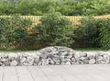 Arched Gabion Baskets 20 pcs 200x50x40/60 cm Galvanised Iron 3146272