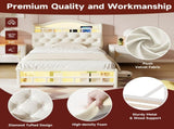 3ft Single Upholstered Velvet Bed Frame, LED Bed Frame with Charging Station & Diamond Tufted N652P399022B